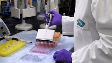 Sitio Andino | laboratorio pfizer vacunas