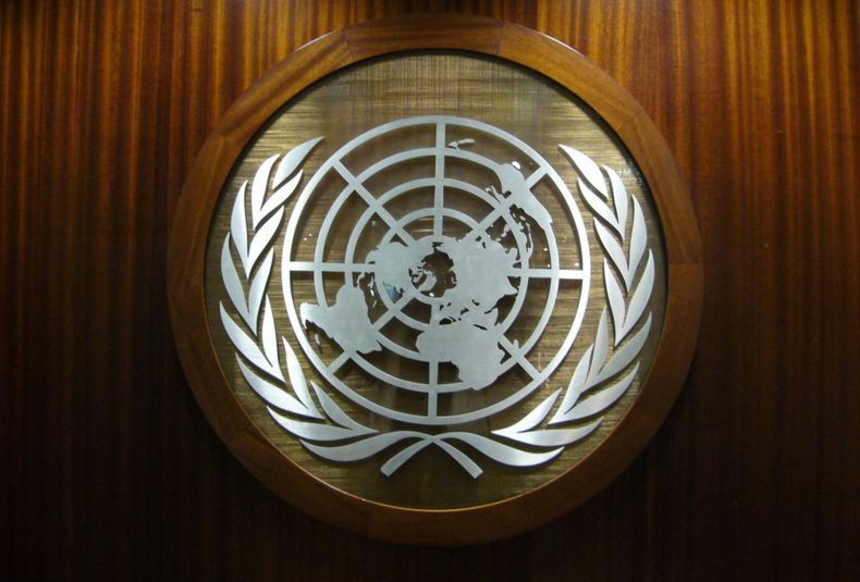 Organizacion de las naciones unidas