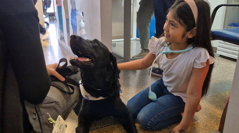 El Hospital Notti celebró el éxito de su campaña de vacunación con perros de terapia.