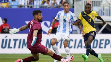 Un duro duelo de la Scaloneta en la Copa América.