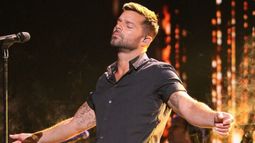 Ricky Martin se refugió en su familia y amigos tras confirmar su divorcio