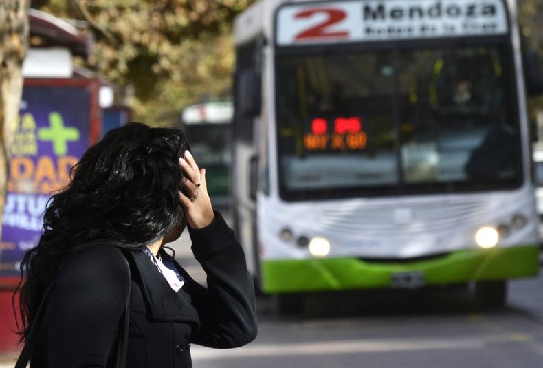 Colectivos,micros,pasajeros