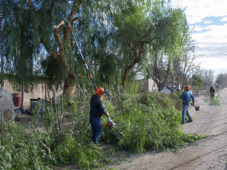 Trabajos desde la Municipalidad de Rivadavia.