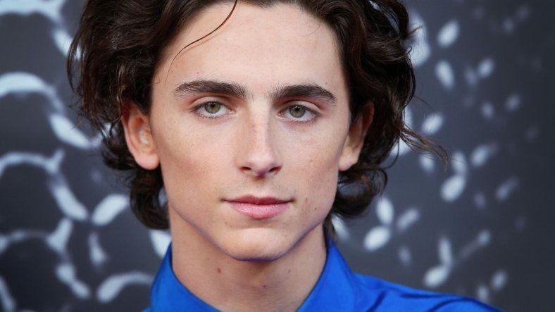 Timothée Chalamet protagoniza esta película en Max.