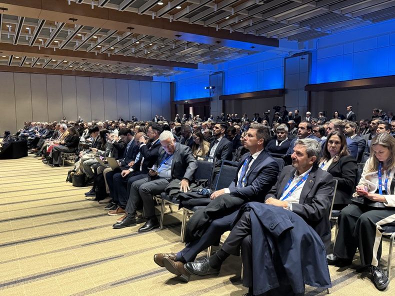 Referentes globales de la minería hacen foco en la provincia.