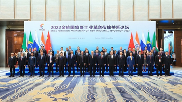 ¿que le traen los brics a la argentina?