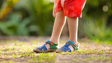 ¿Cómo evitar la picadura de mosquitos?
