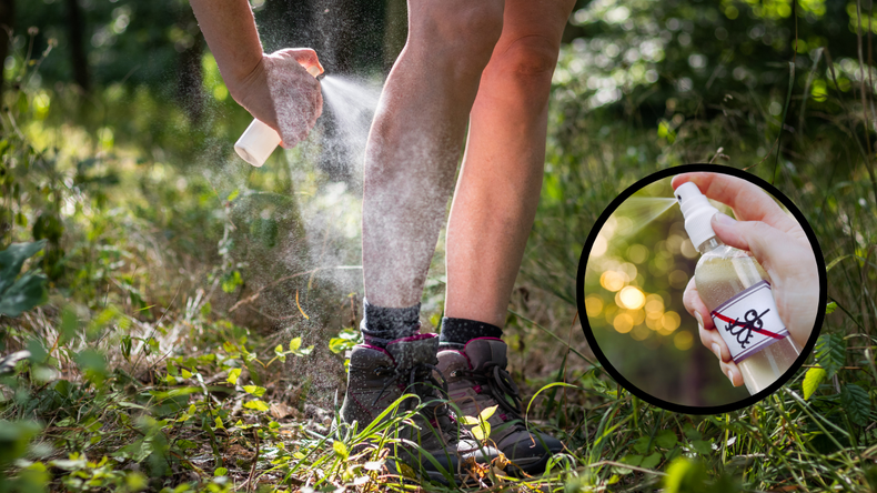 Jardinería: descubrí cómo hacer este mega poderoso repelente para mosquitos