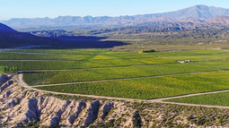 Visión del Valle de El Pedernal uno de los mejores terroir del vino argentino.