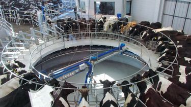 La actividad industrial bajó 4,8% en abril