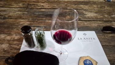 Camino al Mundial 2026 una experiencia que une a los Campeones del 86 con el vino argentino Camino al Mundial 2026 una experiencia que une a los Campeones del 86 con el vino argentino
