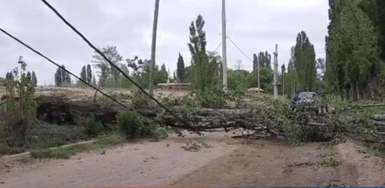 Las consecuencias del viento Zonda en el departamento de Tupungato.