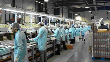 Sin desarrollo industrial: el rojo comercial creció 48% en 8 años