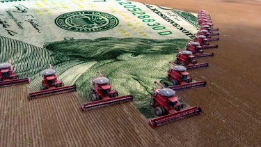 dolares y reservas, el fin de la liquidacion del campo aumenta las tensiones