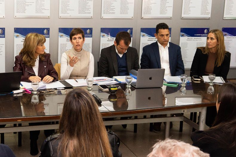 Presupuesto de Energía y Ambiente: controles ambientales y obras eléctricas en 2027