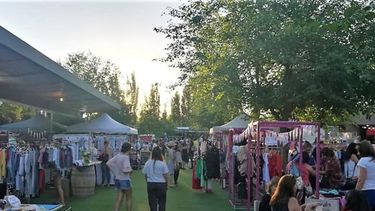 Sitio Andino | Flor de Feria