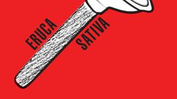 Eruca Sativa presente su nuevo single Afuera