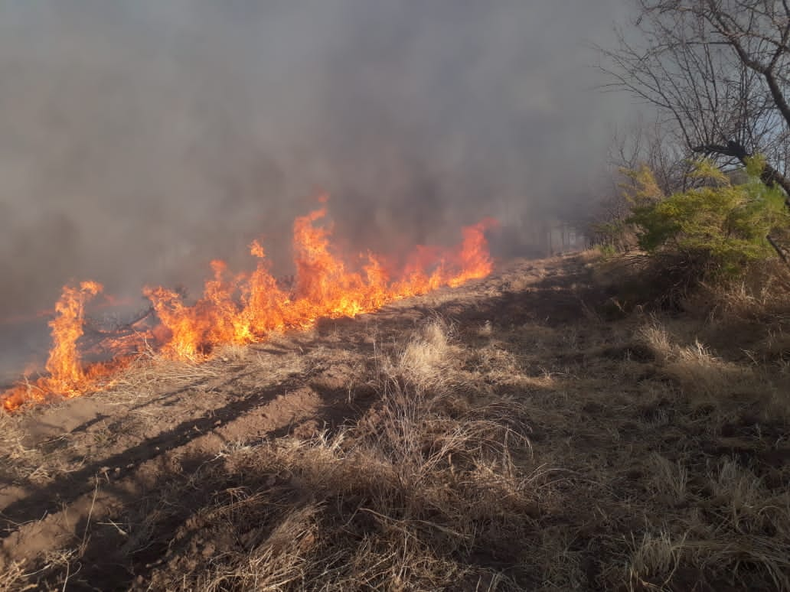 Preocupa En General Alvear Los Incendios Intencionales