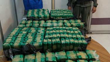 Gendarmería secuestró 200 paquetes de hojas de coca en la terminal de ómnibus