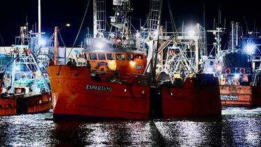 aisa, el grupo que demanda a fecovita, se extiende ahora a la industria de la pesca