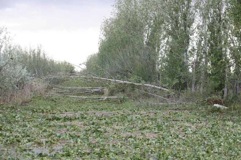 granizo SR 2024 10.jpeg