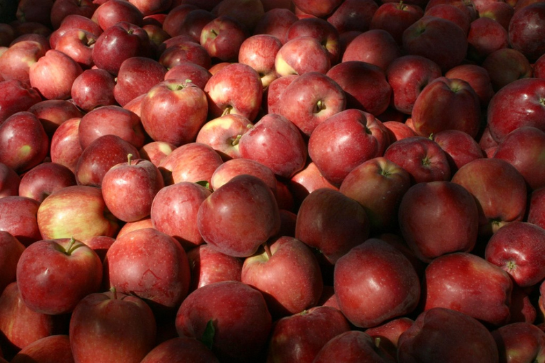 La manzana pierde cada vez más terreno.