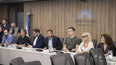 Diputados opositores dieron detalles de los pasos a seguir dentro de la investigación interna.