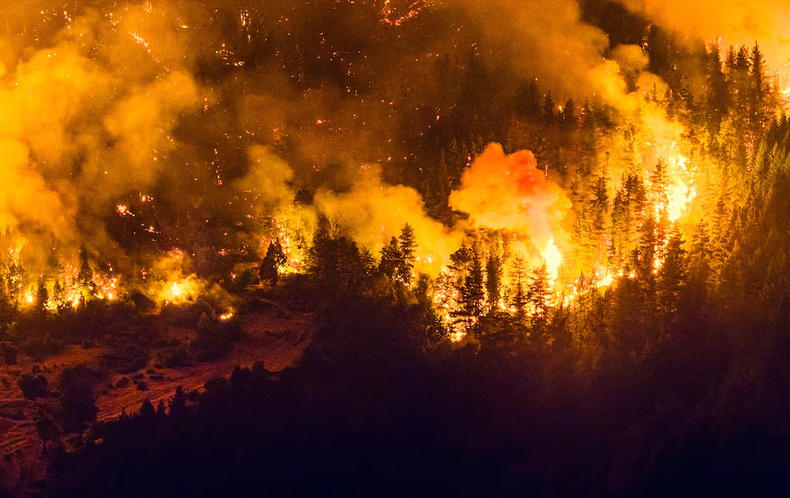 Incendios forestales en Chubut.