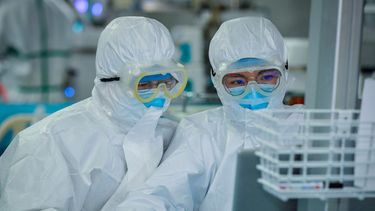 Sitio Andino | cientificos chinos, coronavirus