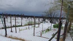 Consecuencias del granizo en San Carlos.