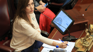 El polémico caso por el que Villarruel dijo que combatirá la ideología de género