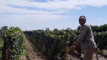 Historias de vida en el Valle de Uco.