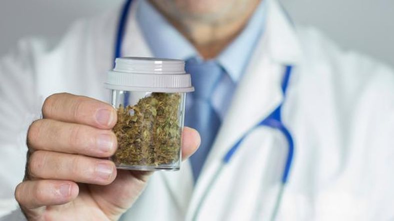 Solo médicos autorizados podrán recetar cannabis medicinal. Solo médicos autorizados podrán recetar cannabis medicinal.