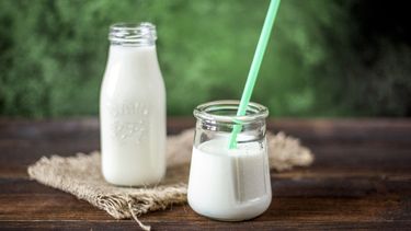 Alimentos que no ayudan al aparato digestivo