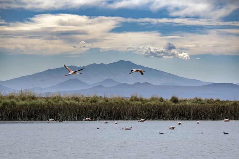 Turismo: si buscás tranquilidad y convivir con la naturaleza, te recomendamos visitar este hermoso lugar