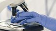 Invertirán 8.000 millones de dólares en investigaciones biomédicas de alta complejidad Invertirán 8.000 millones de dólares en investigaciones biomédicas de alta complejidad
