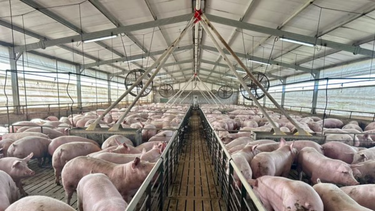 Las economías regionales siguen siendo un sector que no logra sacar la cabeza