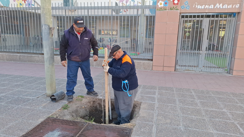 Se realiza la extracci&oacute;n de ejemplares que cumplieron su vida &uacute;til.