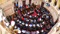 En medio de la crisis, el Senado acuerda un nuevo aumento de la dieta: cobrarán $9 millones por mes
