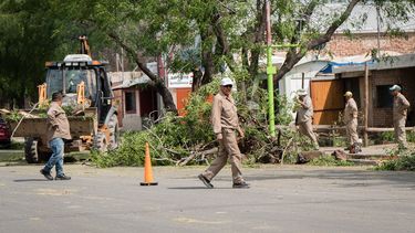 Sitio Andino | Tormenta en lavalle, tormenta, arboles caidos, granizo, destrozos,  - 499890