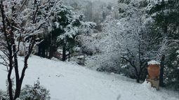¿Volverá la nieve este domingo en Mendoza?