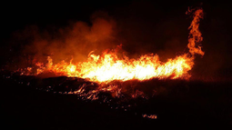 Grave incendio en Luján de Cuyo: bomberos trabajan en el lugar