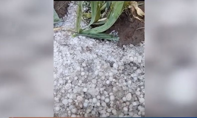 El granizo afectó buena parte del Valle de Uco.