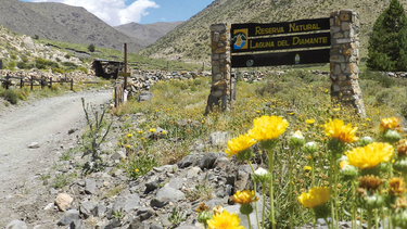 Trabajos en el Valle de Uco.