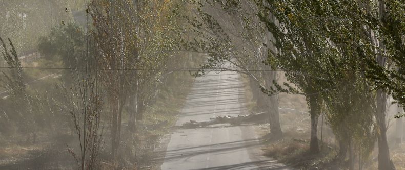 La medida es para ciertas localidades por el viento Zonda. En el resto de la provincia de Mendoza, el servicio educativo se brinda con total normalidad.