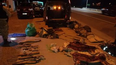 san carlos: los detienen con cinco armas y guanacos muertos