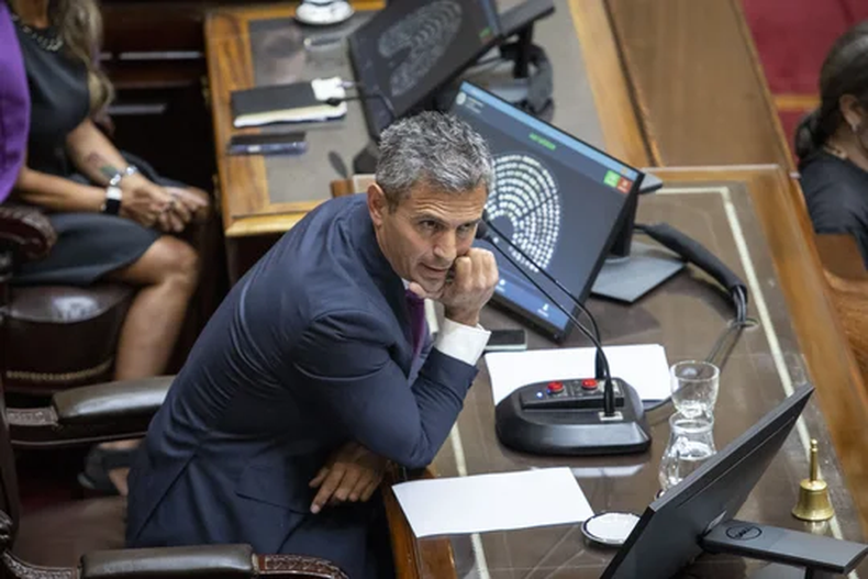 El presidente de la Cámara de Diputados, Martín Menem.