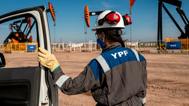YPF pone a la venta los campos convencionales de Mendoza.