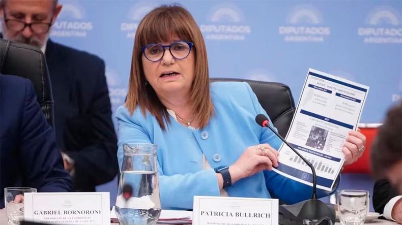 Ley ómnibus: Bullrich Confirmó Que Se Eliminará El Artículo Que ...