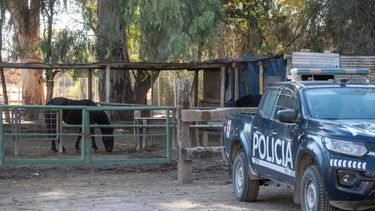 Abigeato en Tunuyán: decomisaron 110 kilos de carne vacuna Abigeato en Tunuyán: decomisaron 110 kilos de carne vacuna